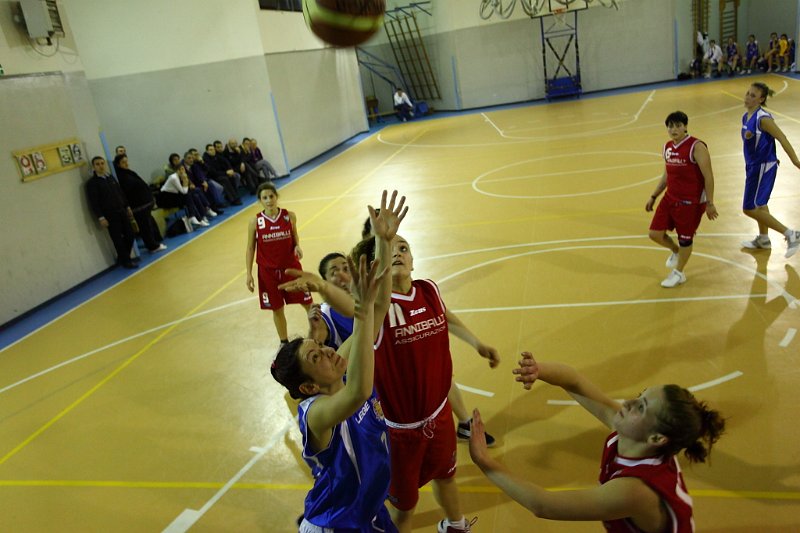 Basket 443100